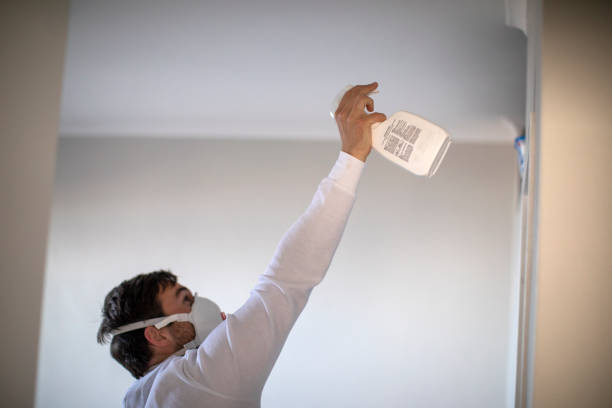 Best Toxic Mold Removal  in Caldwell, ID