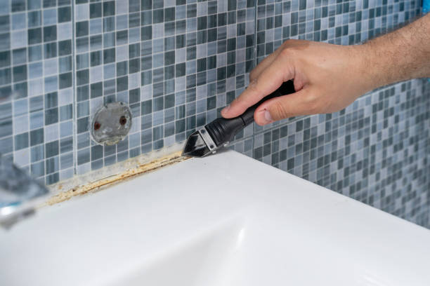 Best Certified Mold Removal  in Caldwell, ID